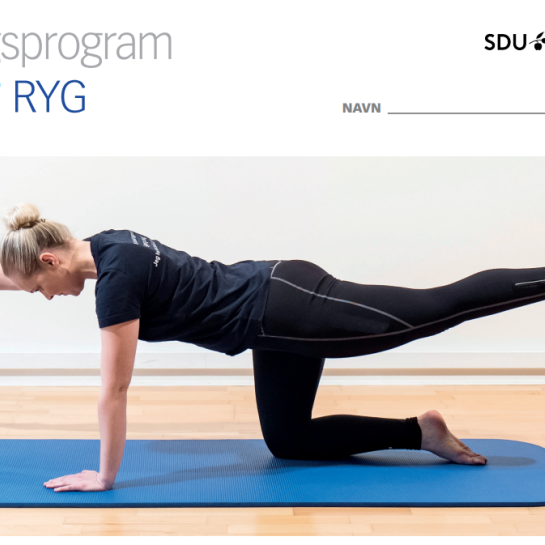 ryg